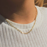 14K Gold Paperclip Chain Necklace - Jewellery Hut