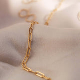 14K Gold Paperclip Chain Necklace - Jewellery Hut