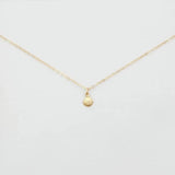 14K Gold Filled Shell Charm Necklace - Jewellery Hut