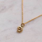 14K Gold Shell Necklace