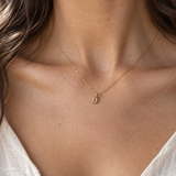 14K Gold Shell Necklace