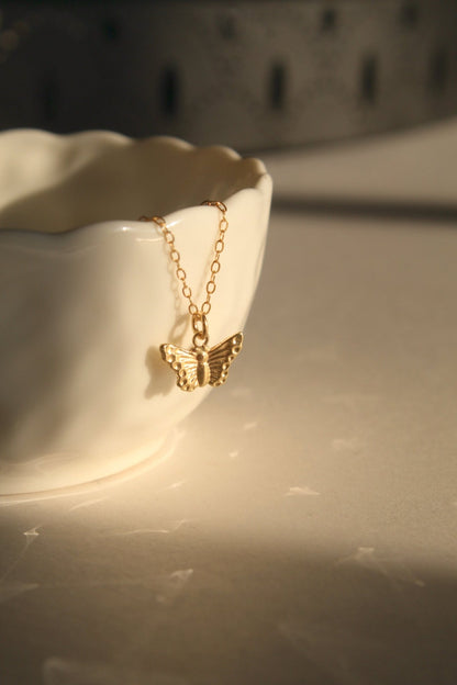 14K Gold Butterfly Charm Necklace - Jewellery Hut