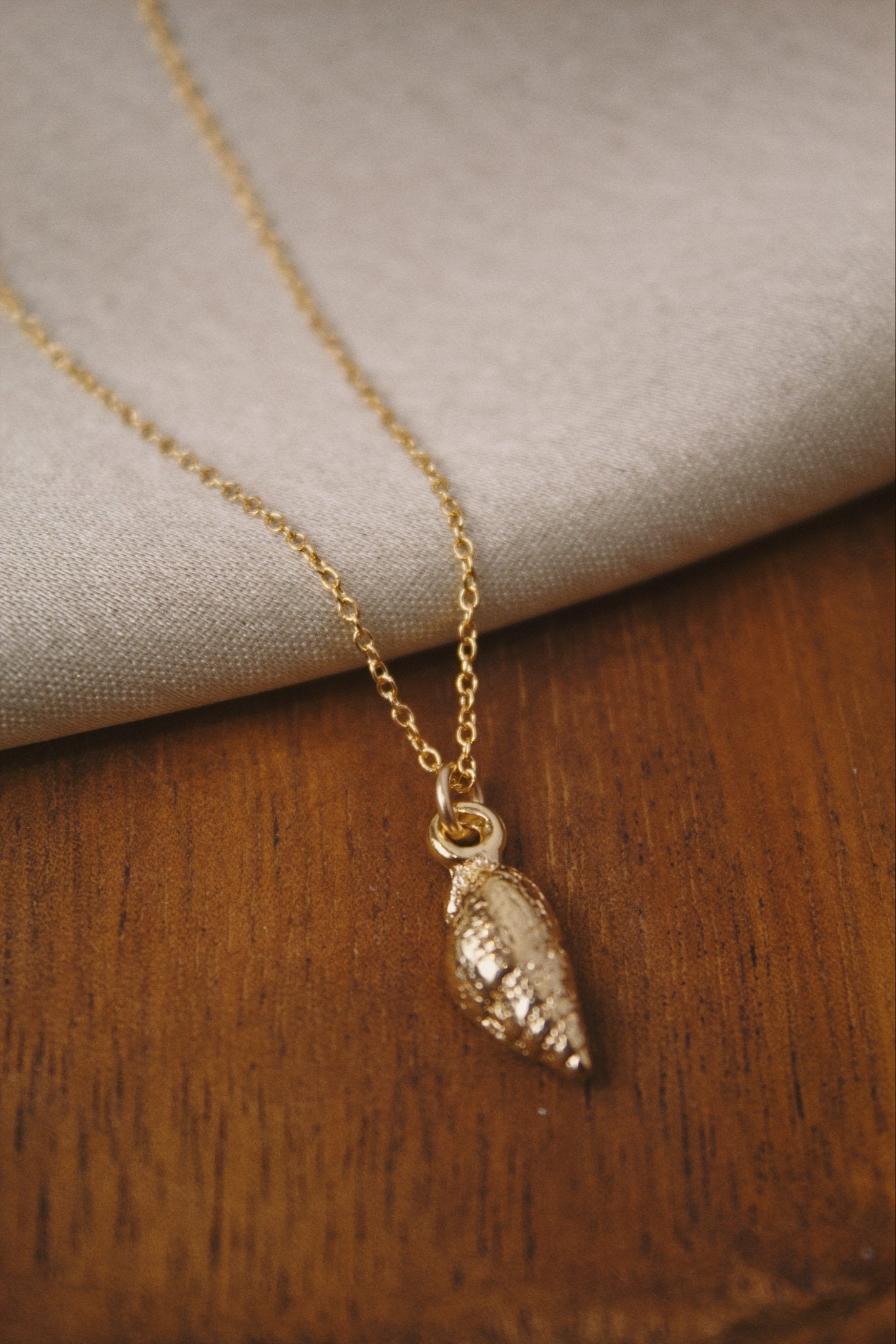 14K Gold Shell Necklace - Jewellery Hut