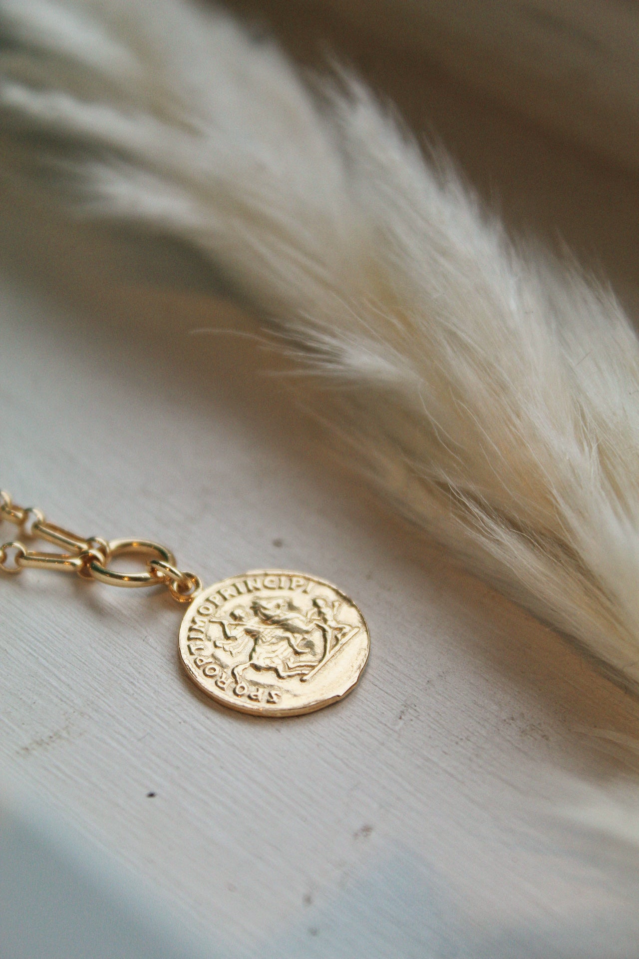 Coin Necklace 18ct Gold Plated - Jewellery Hut