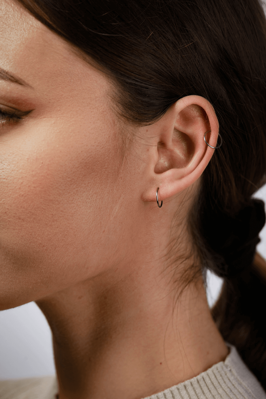 Silver 2025 titanium earrings